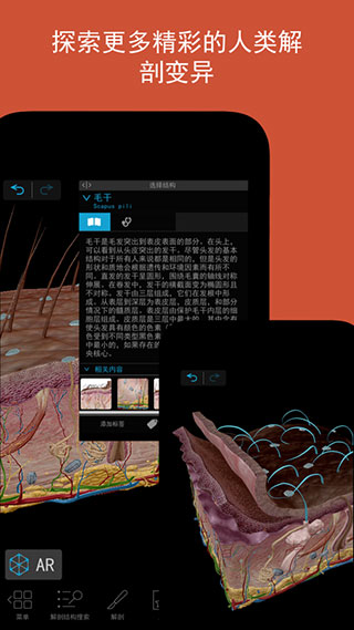 2025+人体解剖学图谱app官方最新版