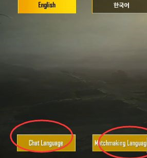 PUBG韩服手游(배틀그라운드)
