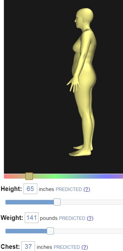 bodyvisualizer身材模拟器