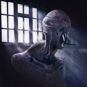 黑暗的追求者联机版(Dark Pursuer)