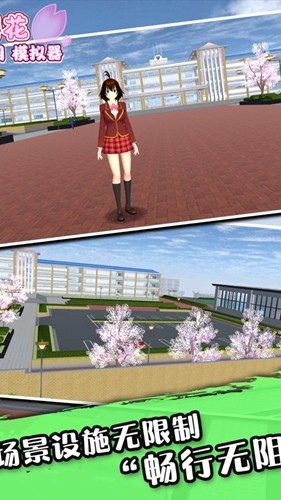 樱花次元（附激活码）