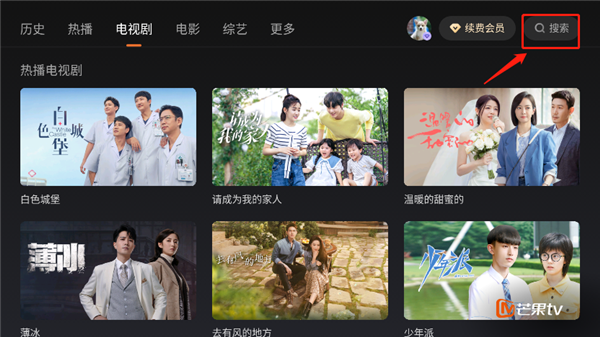 芒果TV车机版app