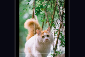 ProMovie专业相机app