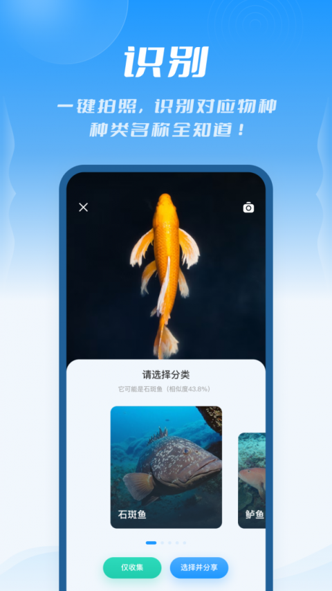 问鱼app