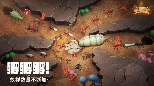 蚁族崛起腾讯版