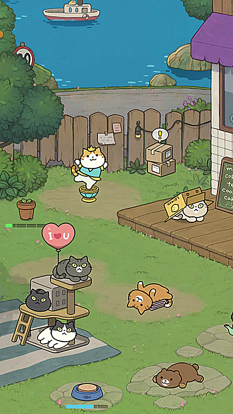 神秘猫咪字典手游