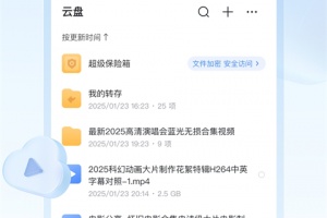 手机迅雷企业版