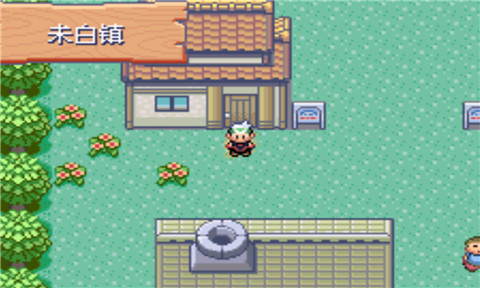 口袋妖怪绿宝石493手机版