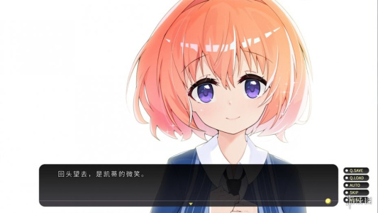 流浪小猫单身狗