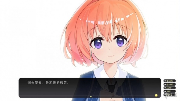 流浪小猫单身狗