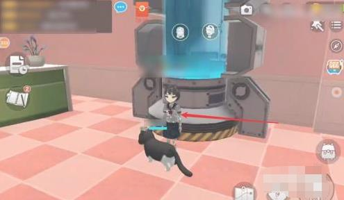 养了个猫官方正版