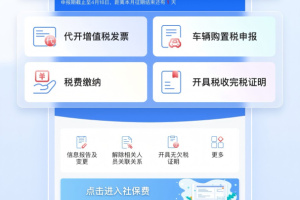 电子税务局app