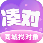 凑对终身会员版