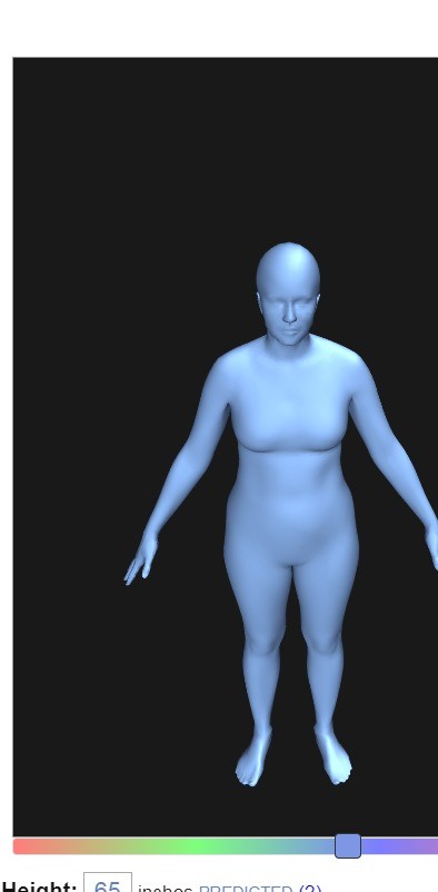 bodyvisualizer身材模拟器