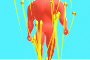 疯狂黑洞中文版