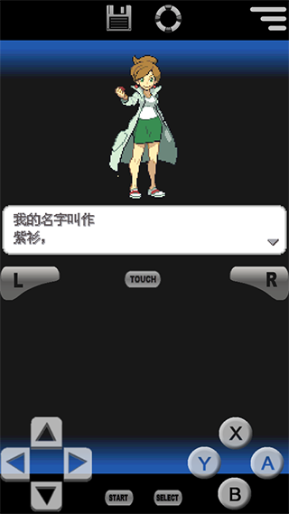 口袋妖怪黑2nds原版