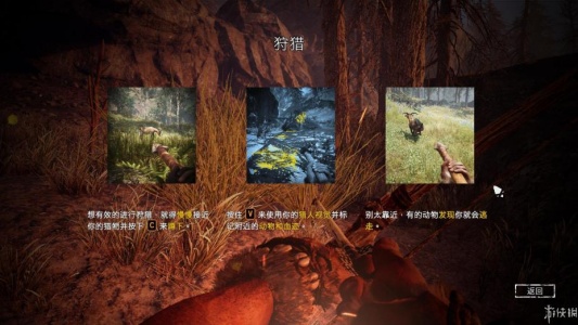 孤岛惊魂：原始杀戮