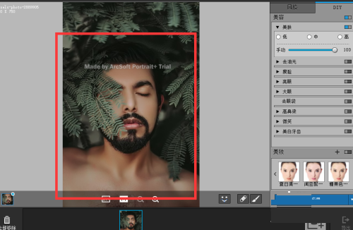 PortraitPro