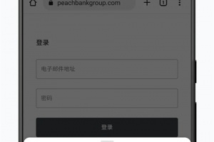 谷歌浏览器手机版