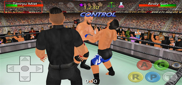 摔跤革命3D中文版