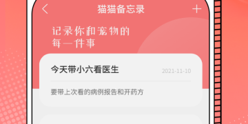 无广告内购的外语翻译手机软件合集