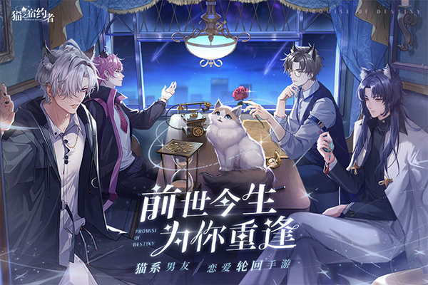 猫之宿约者九游渠道服