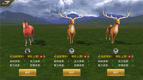 御龙争霸官方版