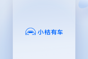 小桔有车官方版