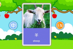 宝宝早教有声卡片app