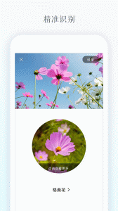 识花app