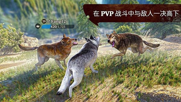 狼族手游(The Wolf)