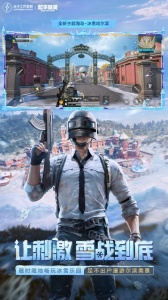 和平精英高配版