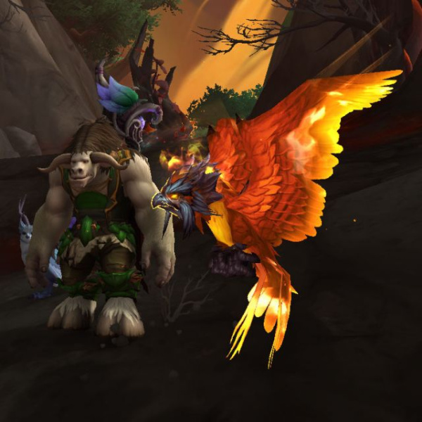 《魔兽世界》10.2翡翠梦境卡利鸟位置