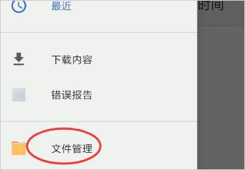 magisk金丝雀最新版