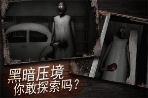 奶奶别追我手游