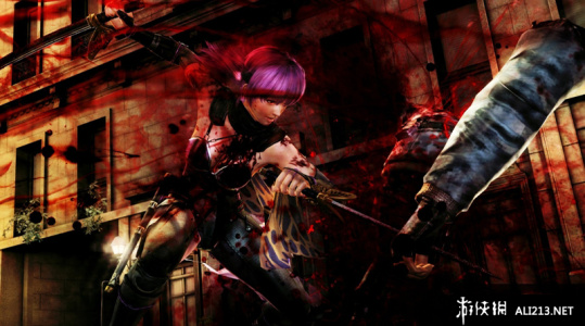 忍者龙剑传3：刀锋边缘