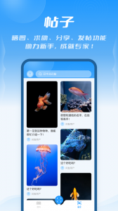 问鱼app