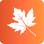 枫叶漂流瓶清爽版