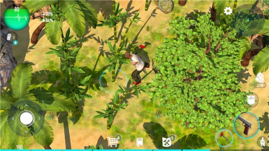 生存主义者入侵(Survivalist invasion)