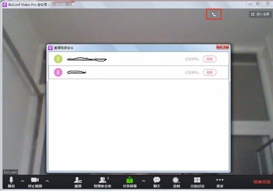 bizconf video pro