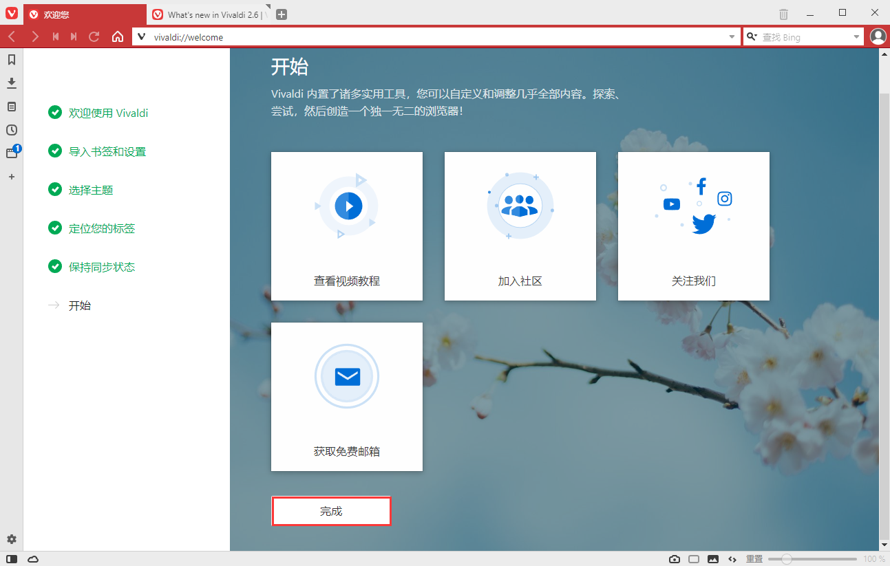 vivaldi浏览器