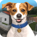 动物收容所模拟器最新版