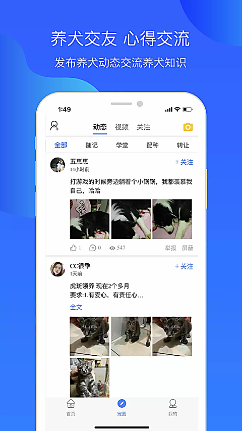 犬卫士app