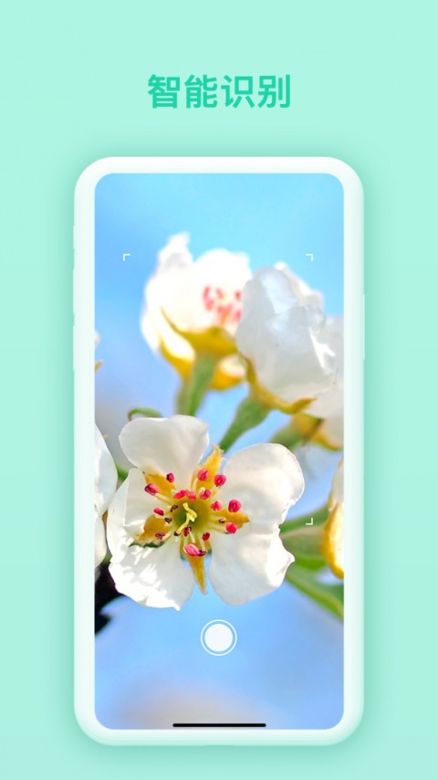 万物识别app