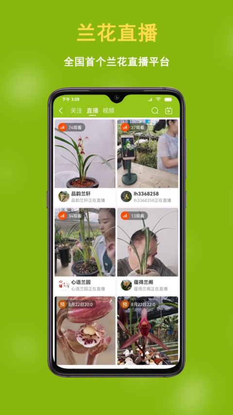 兰花交易网app