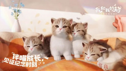 我和我的猫完整版
