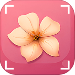 识花君app