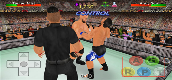 摔跤革命3D中文版