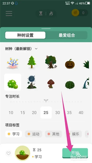 Forest最新版