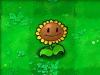 植物大战僵尸经典版